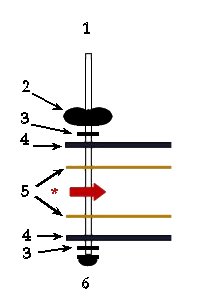 Threaded rod hardware diagram