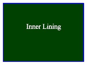 inner lining